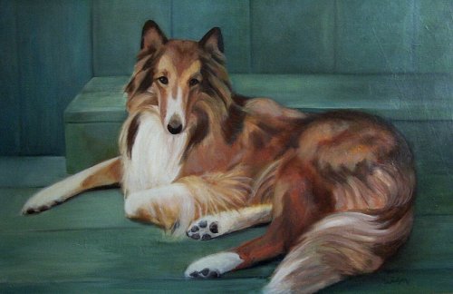 animal5