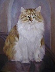 animal7
