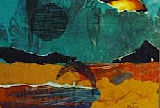 collage2